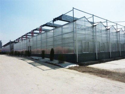 連體陽光板溫室