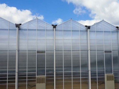 連體陽光板溫室