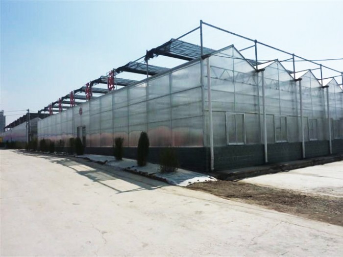紋絡(luò)陽光板溫室