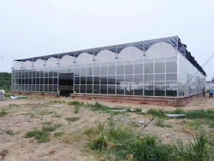 單棟薄膜溫室