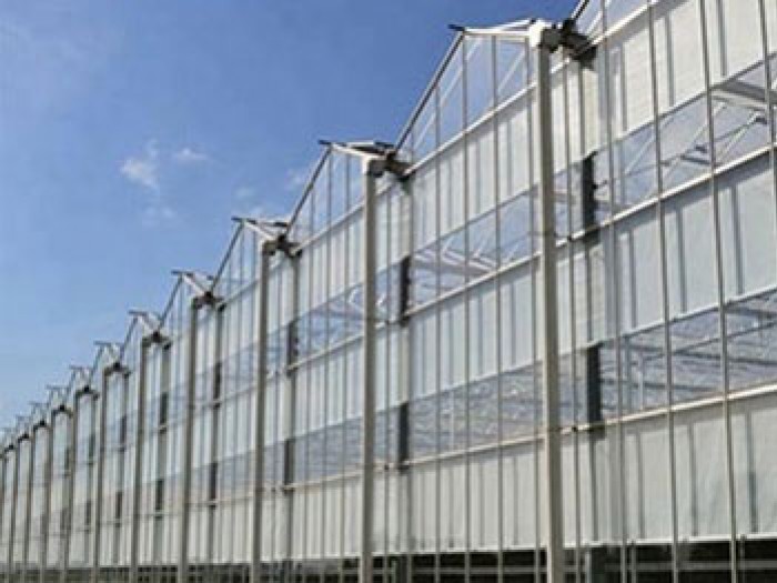 紋絡(luò)陽光板溫室