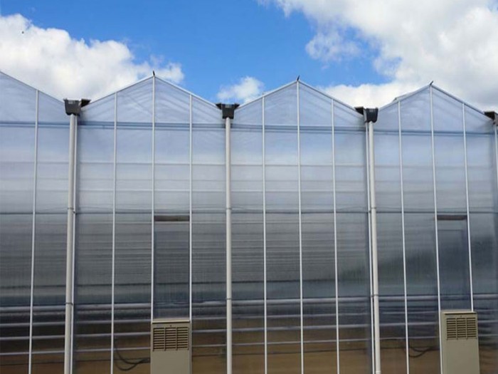 紋絡(luò)陽光板溫室