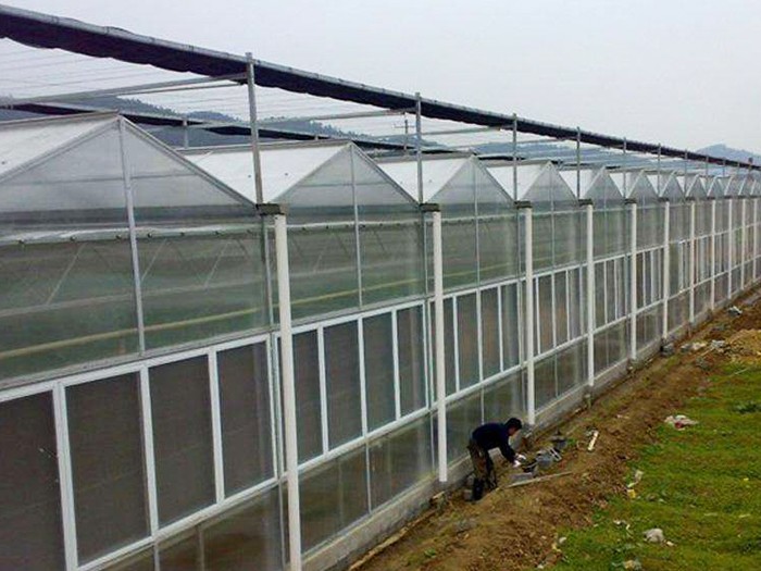 單體陽(yáng)光板溫室