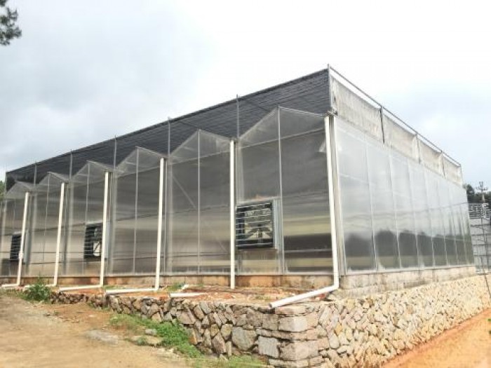 單體陽(yáng)光板溫室