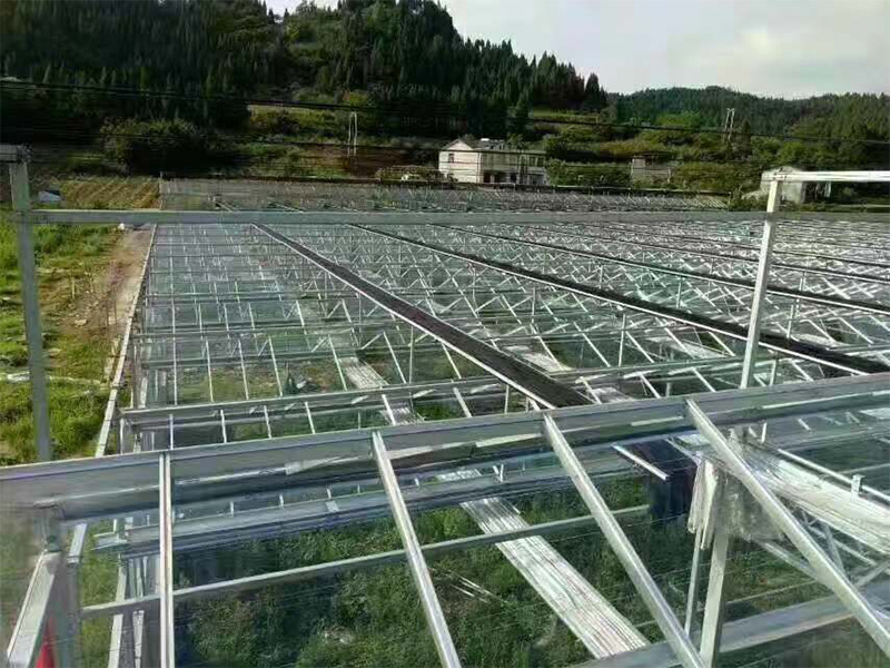 工程案例-青州市澤源農(nóng)業(yè)科技有限公司