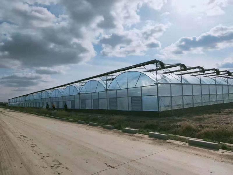 青州金奧溫室工程有限公司