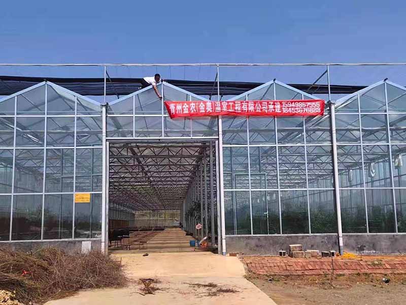 溫室大棚建設(shè)基礎(chǔ)建設(shè)